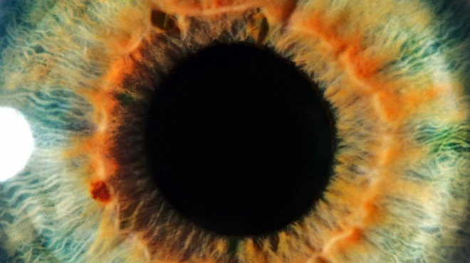 Human Eye Closeup