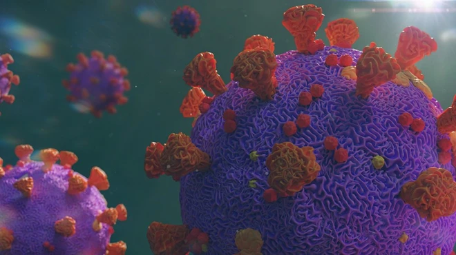 SARS-CoV-2 is the virus that causes coronavirus disease (COVID-19)