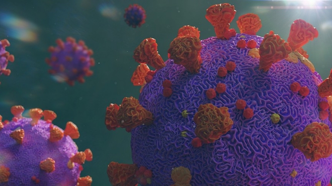 SARS-CoV-2 is the virus that causes coronavirus disease (COVID-19)