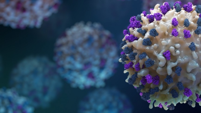 T-cell with active receptors