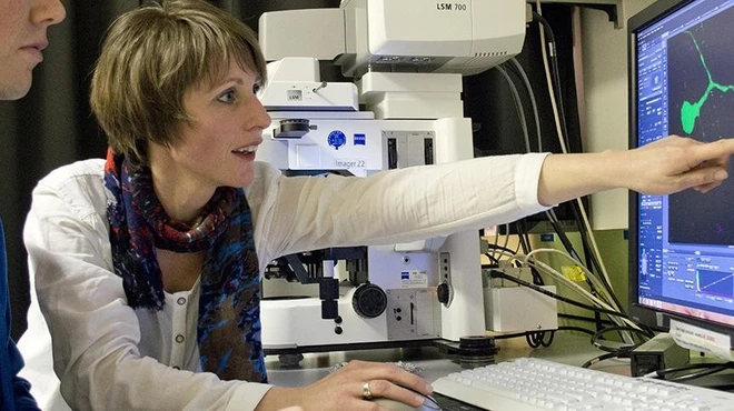 Mutant protein spreads through a neural circuit in Huntington’s Disease