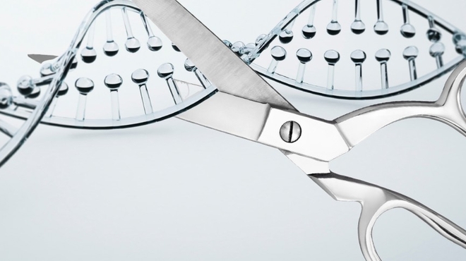Can We Edit Our Genes to Fight Disease?