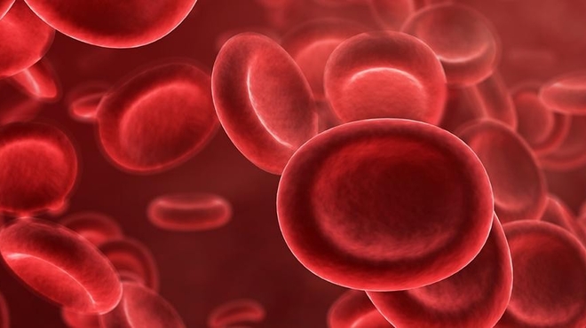 Rebuilding blood