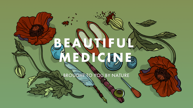 Rediscovering the power of nature’s exquisite complexity