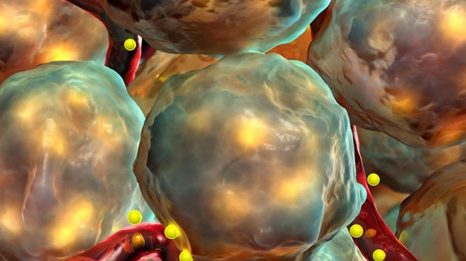 Artistic rendering of beta cells in the pancreas that produce insulin.