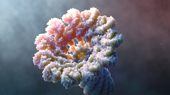 The inflammasome