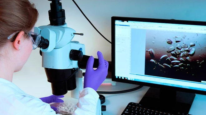 Lilli Petruzzelli on what it means to be a woman in science.