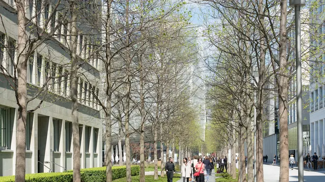 Avenue with trees along Fabrikstrasse