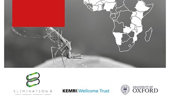 Cover of the Malaria Futures for Africa report