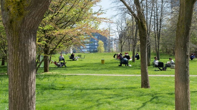 People in the park