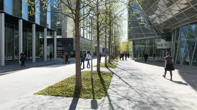 Trees casting shadows along Fabrikstrasse
