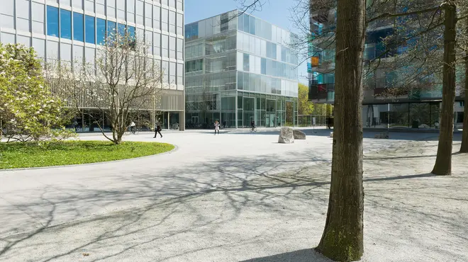 View of Fabrikstrasse 6 (Peter Märkli) with trees