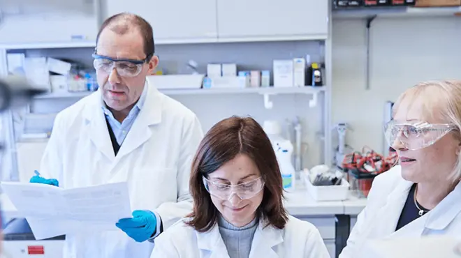 Researchers in the lab