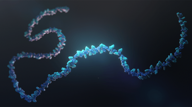 RNA strand
