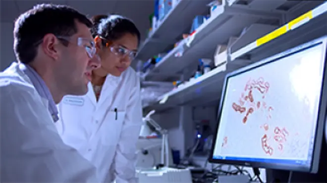 NIBR Cambridge, United states