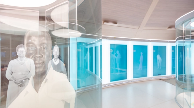 Content area «Fragility of Life» of the Wonders of Medicine exhibition in the Novartis Pavillon