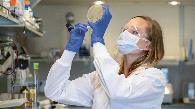 Stephanie Moquin, a post-doc in the Dengue team, works on expressing proteins in a specialized lab at the Novartis research campus in Emeryville.