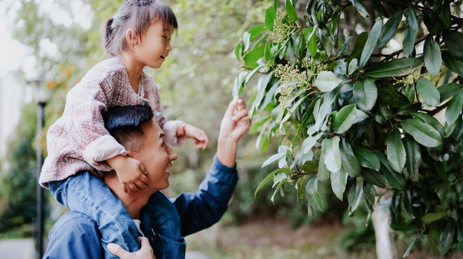 A father with daughter on his shoulders looking at a plant