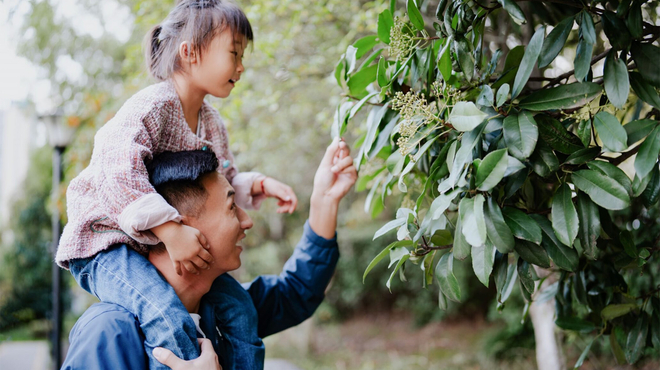 A father with daughter on his shoulders looking at a plant