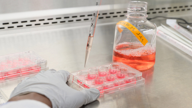 Empowering the next generation of healthcare leaders