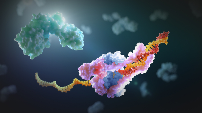 stopping this coronavirus and the next one_0