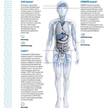 Preview Image of the Cell and Gene Key Focus Areas Infographic