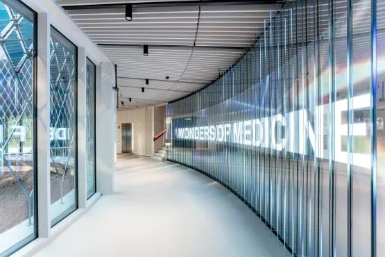Welcome wall and staircase to the exhibition Wonders of Medicine in the Novartis Pavillon