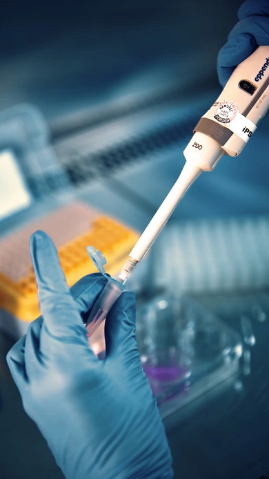 Close up on the hands of a laboratory technician wearing blue gloves preparing a sample with pipette