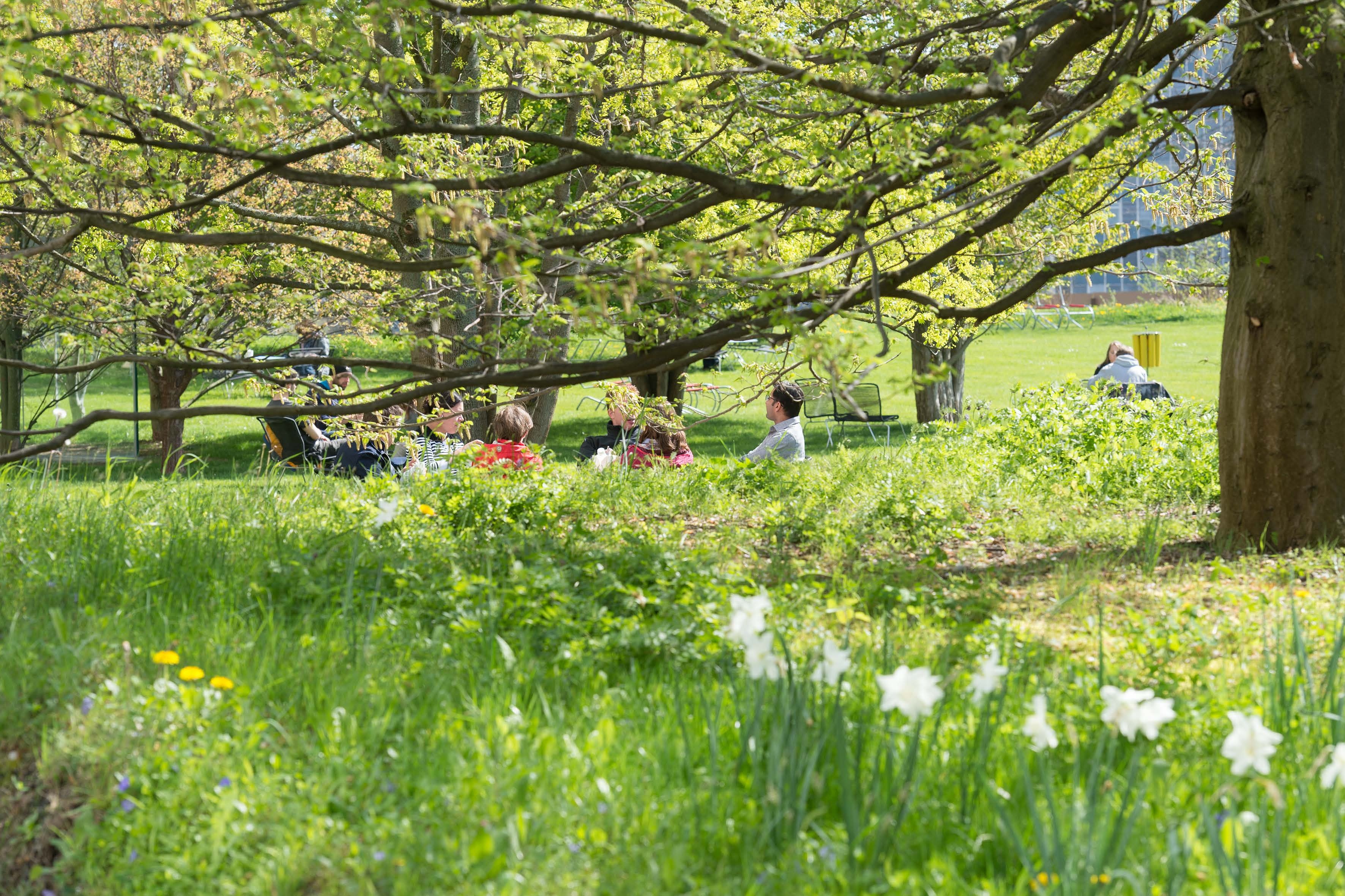 Break in the park