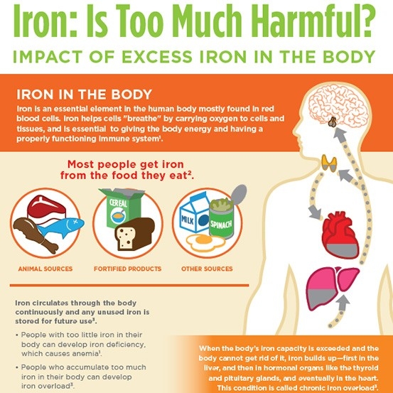Chronic Iron Overload Infographic