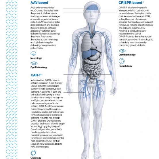 Preview Image of the Cell and Gene Key Focus Areas Infographic