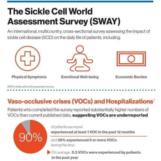 SWAY Infographic Preview