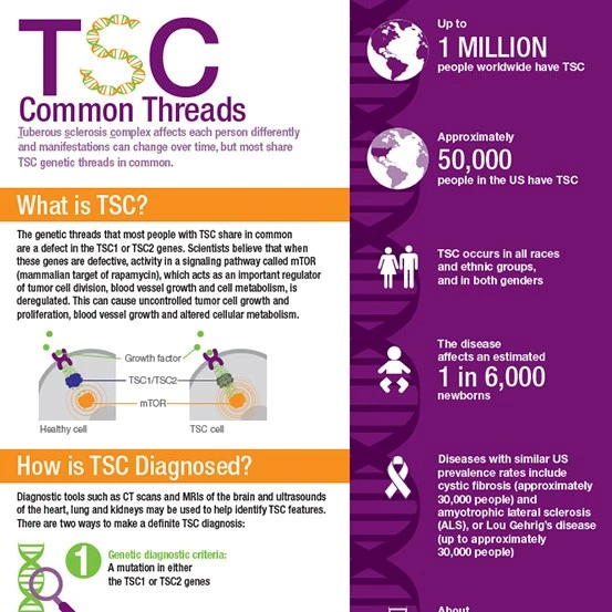 TSC Common Threads Infographic