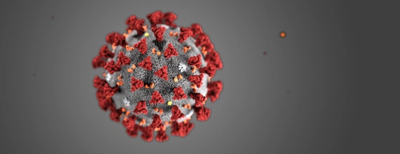 Ilustrácia: Koronavírus (Centers for Disease Control and Prevention) 