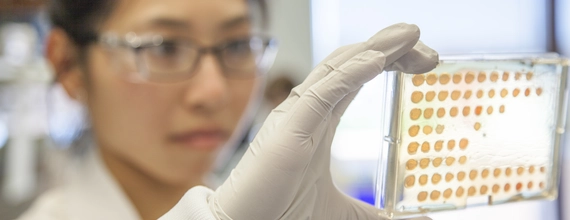 Žena pozerajúca sa na vzorky v laboratóriu