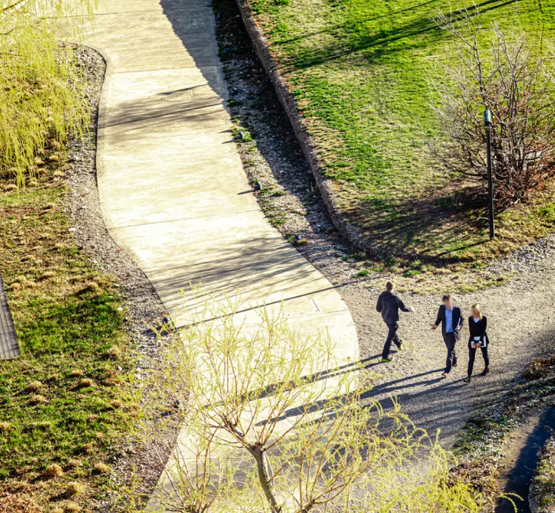 Зелена алея