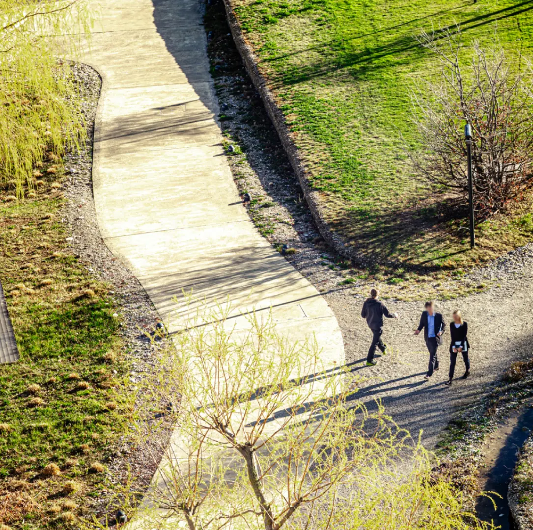 Зелена алея