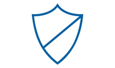 Shield Icon
