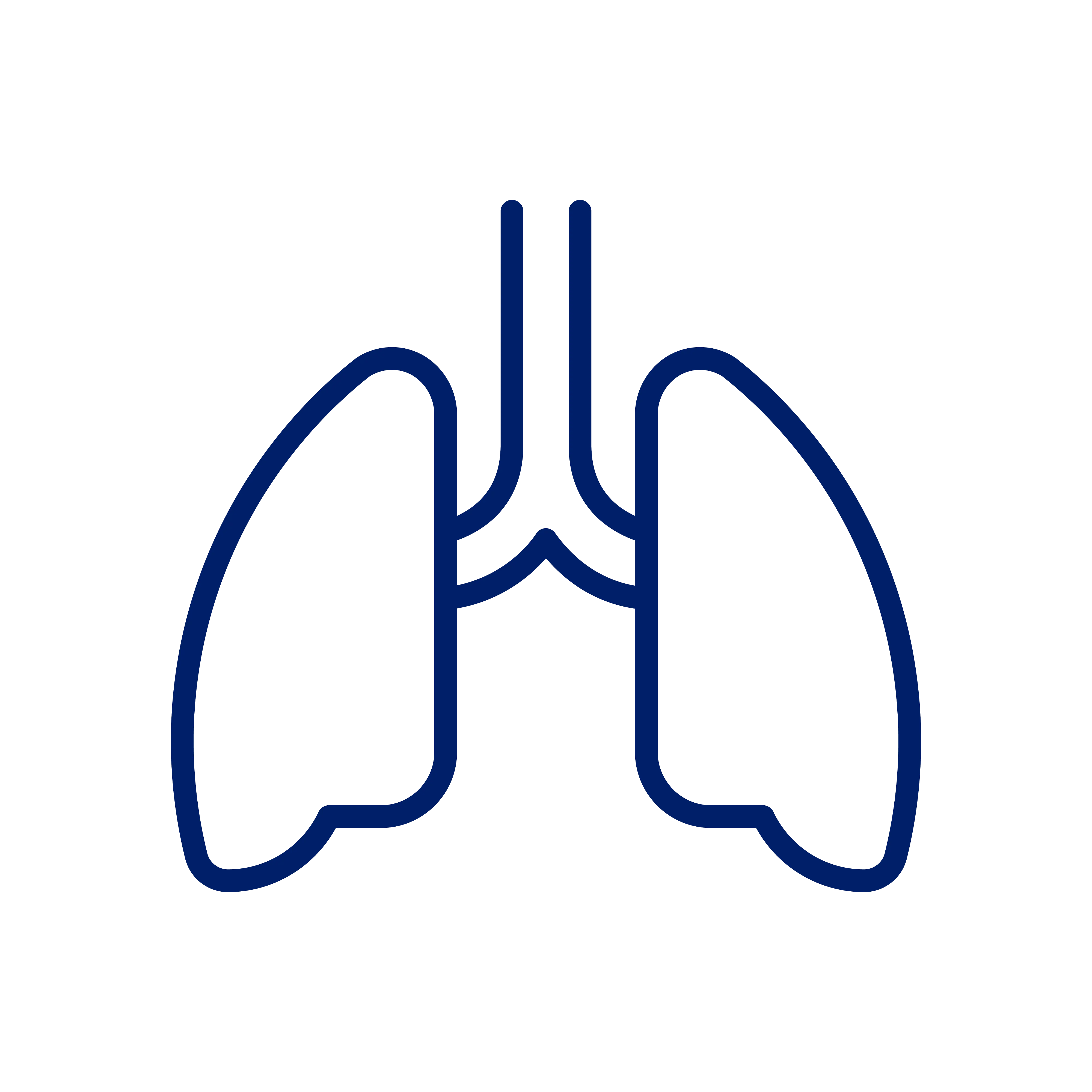 lungs keyline icon