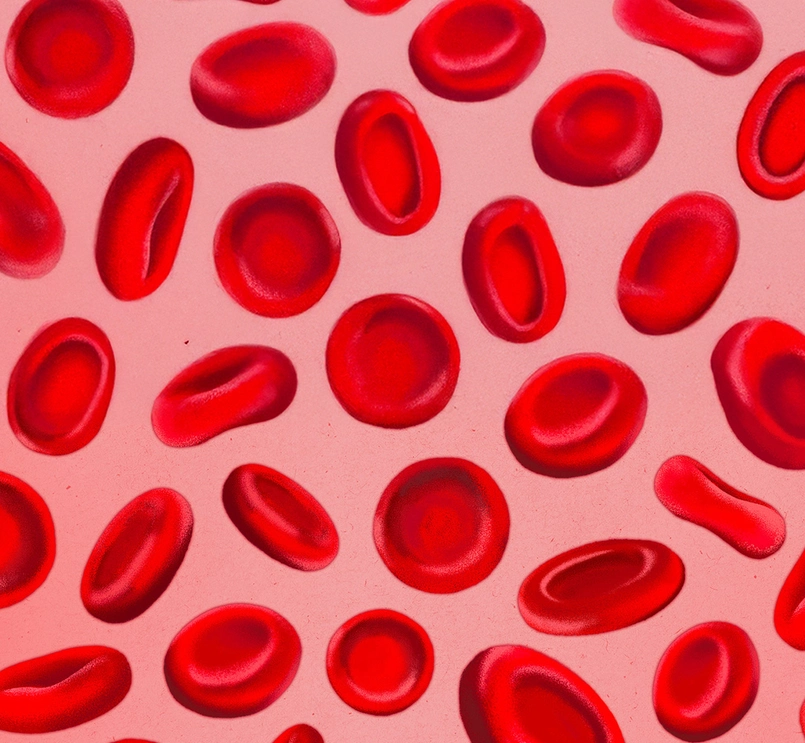 Graphic illustration of red blood cells