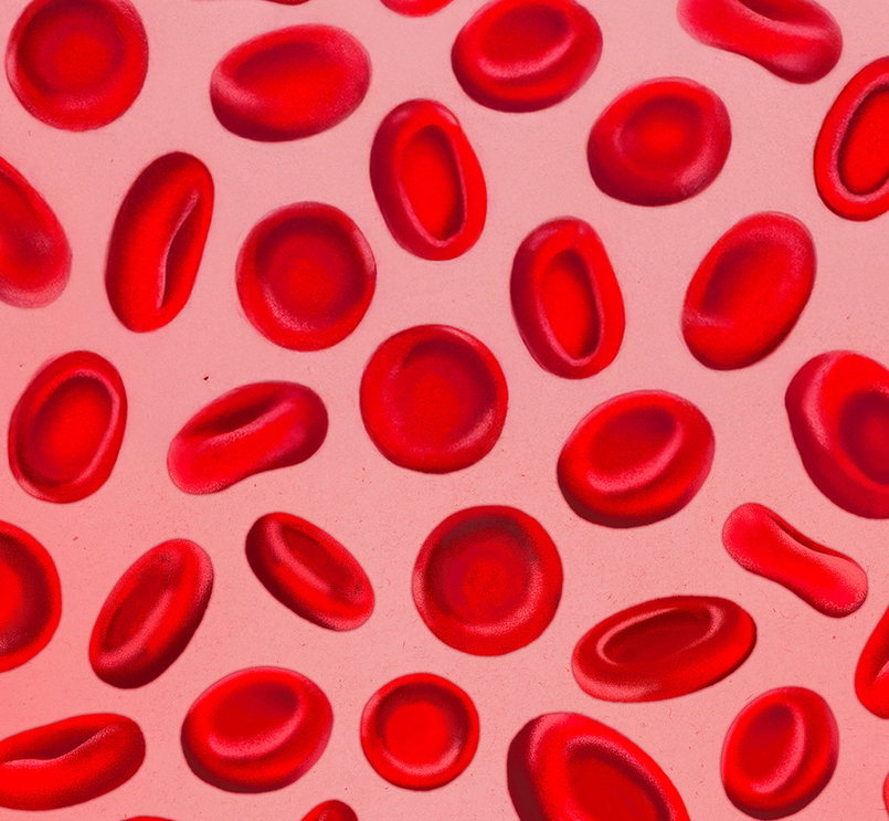 Graphic illustration of red blood cells