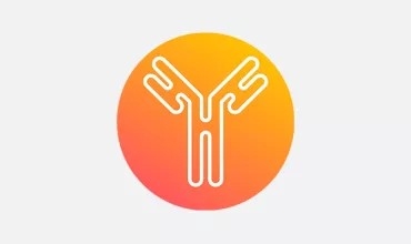Orange gradient icon of an antibody 