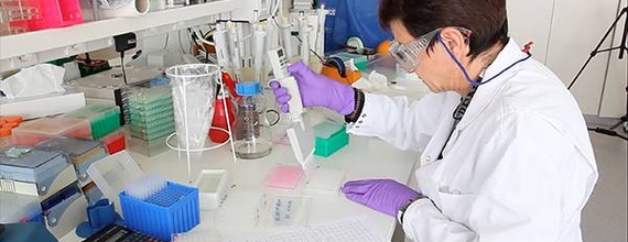 A scientist with a pipette