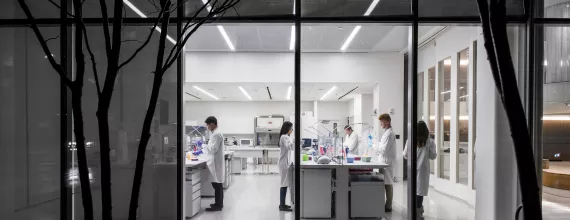 Scientists working In a lab at night seen by the outside of the building