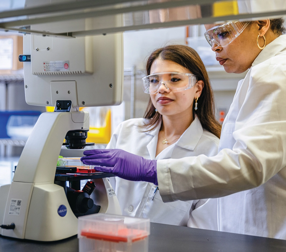 Scientist working in lab in East Hanover