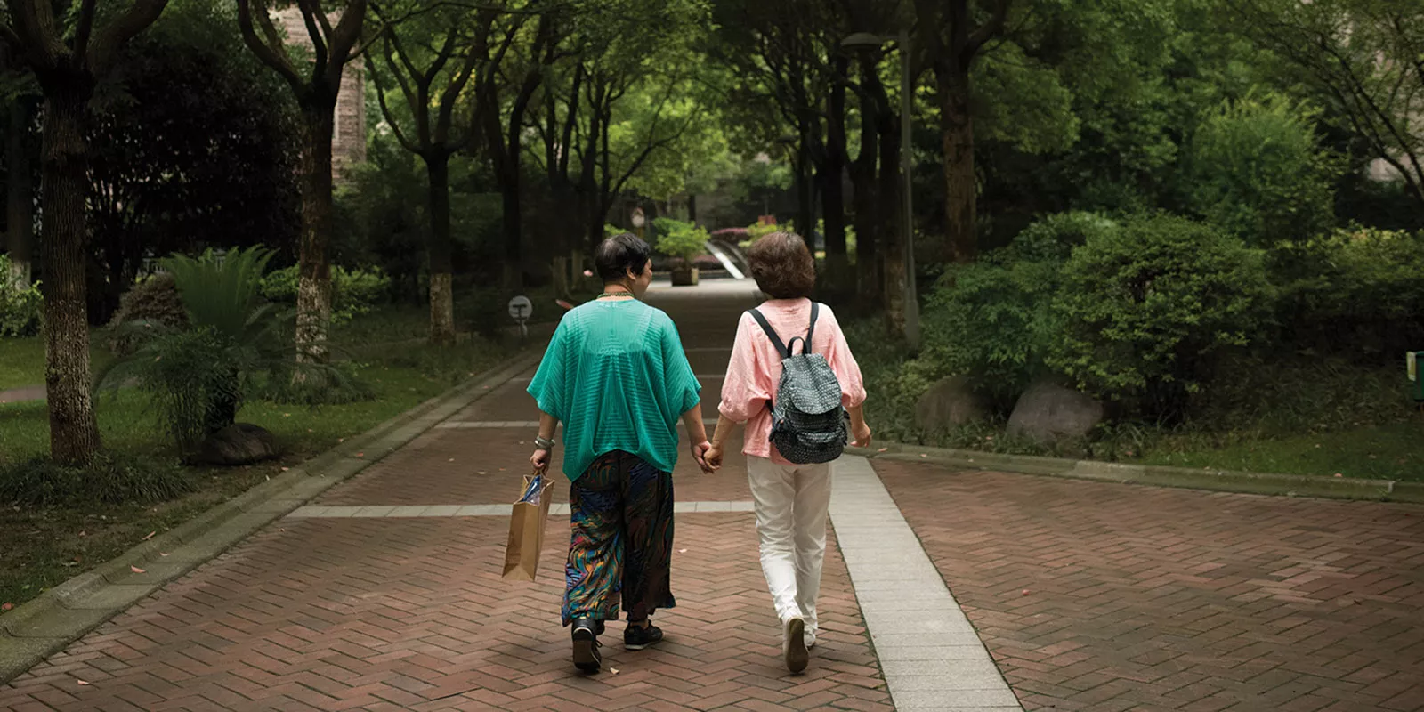 Women walking in the park holding hands