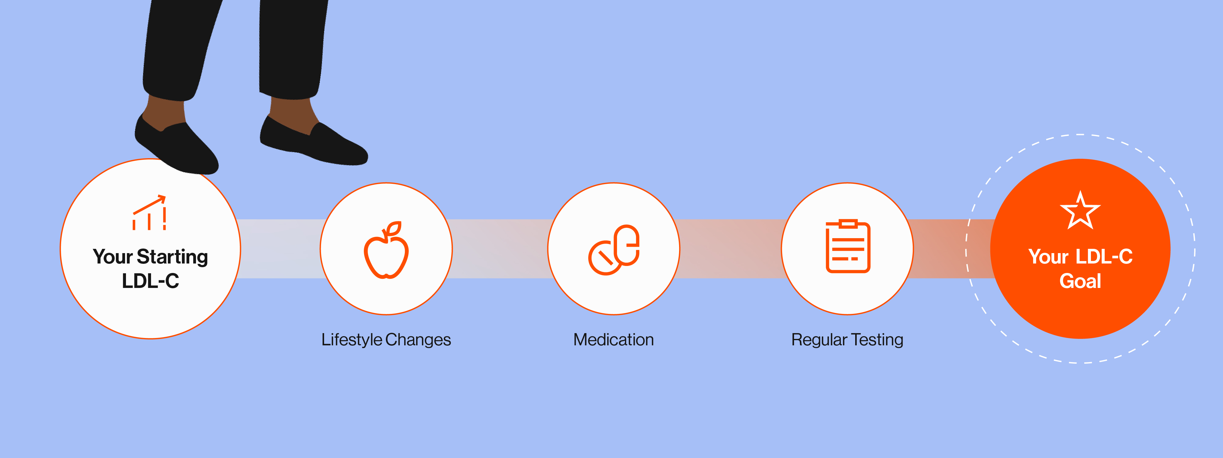 Illustration shows a pair of feet walking along a path from “Your Starting LDL-C" to “Your LDL-C Goal” with “Lifestyle Changes,” “Medication,” and “Regular Testing” as points on the path.