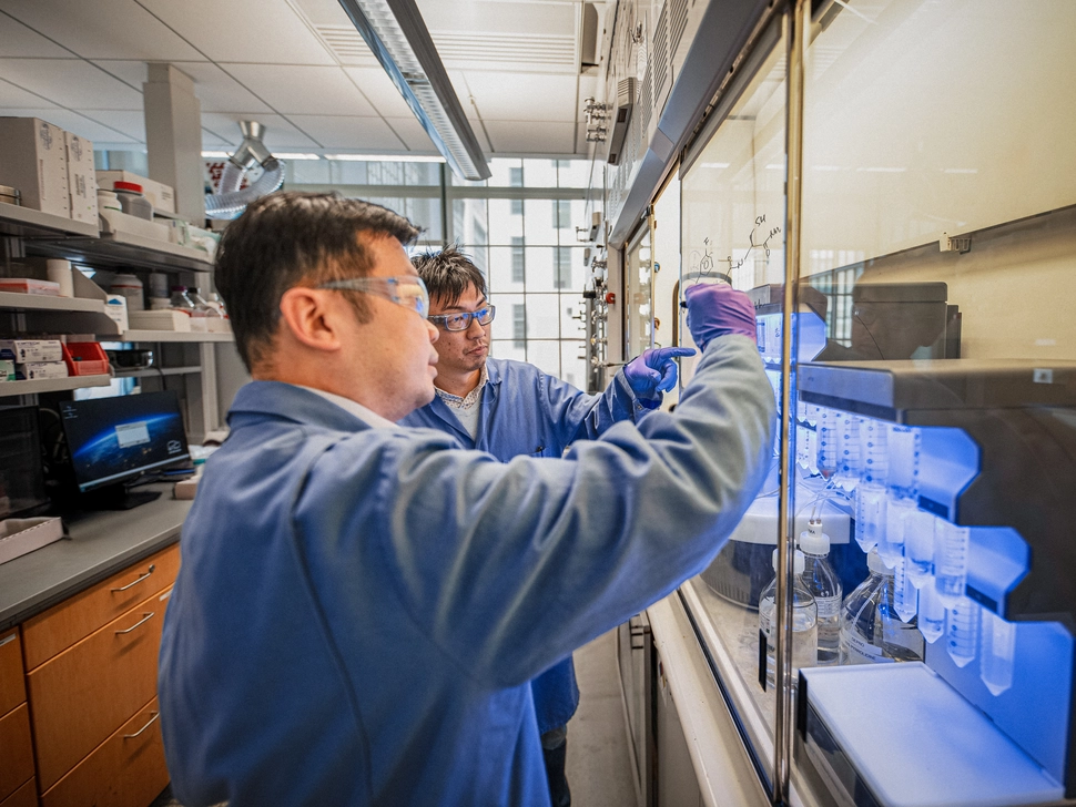 Scientists at work in our peptide synthesis labs in Cambridge.