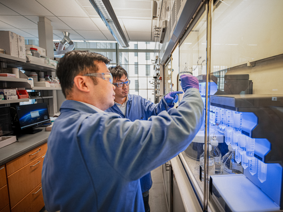 Scientists at work in our peptide synthesis labs in Cambridge.