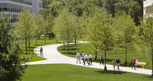 Novartis East Hanover Campus Landscaping